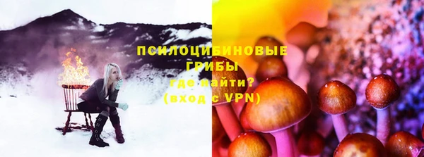 трава Новокубанск