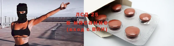 a pvp Новозыбков