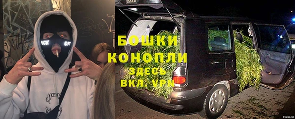 a pvp Новозыбков