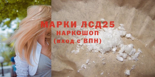 спиды Новодвинск