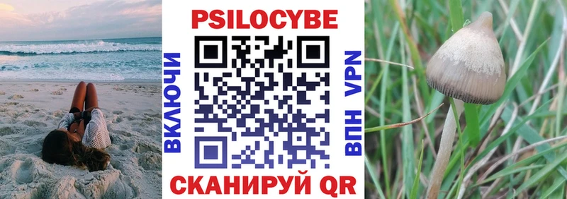 Купить где  Покров  Галлюциногенные грибы Psilocybe 